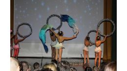 Художественная гимнастика