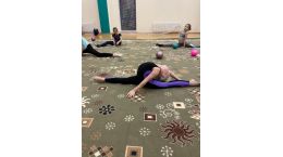 Художественная гимнастика