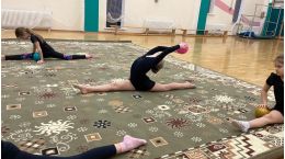 Художественная гимнастика