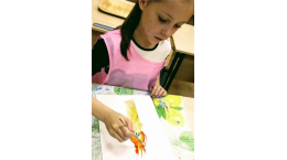 Основы дизайна